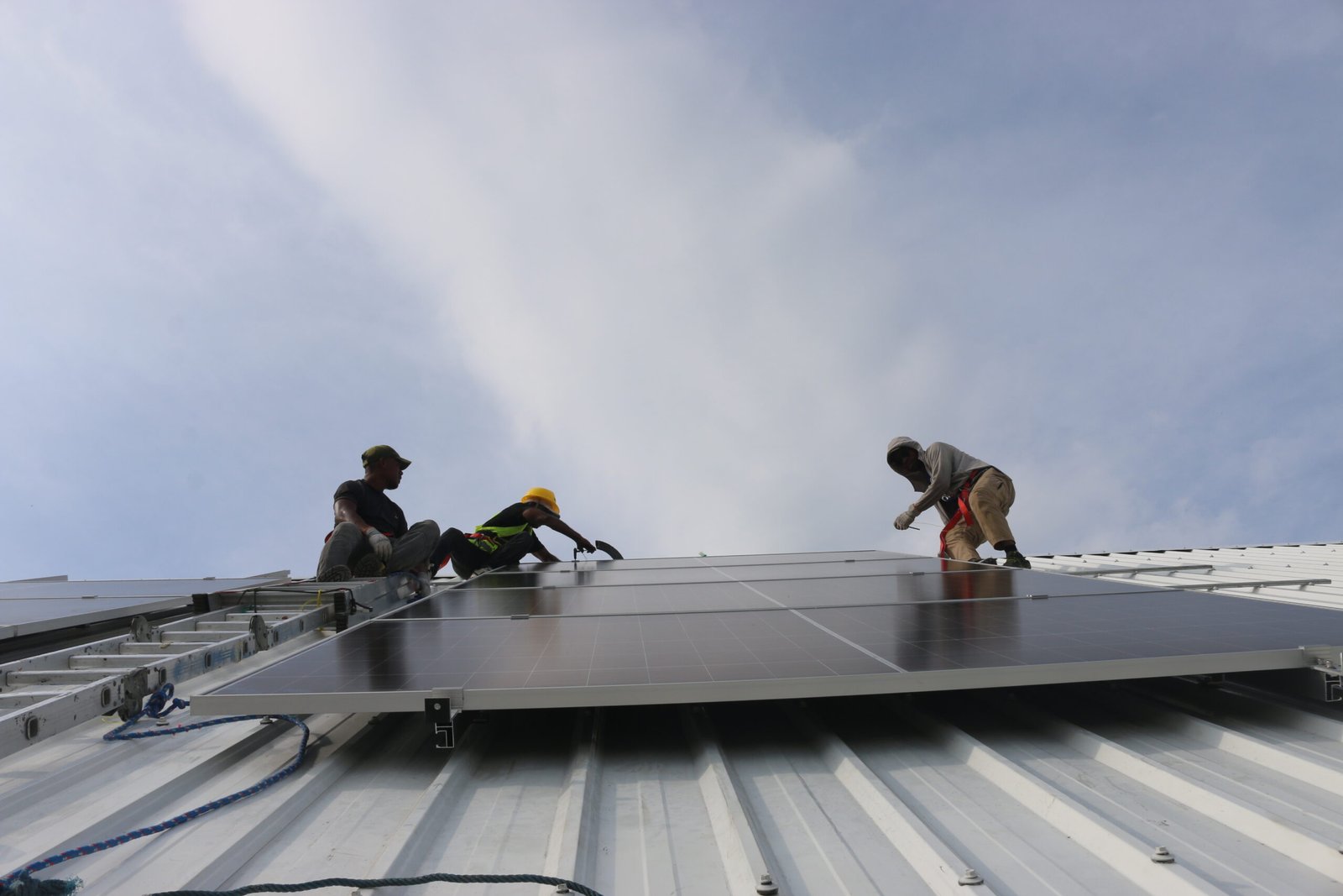 Solar Farms img 4905